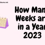 How Many Weeks in a Year