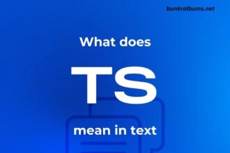 What Does Ts Mean in Text