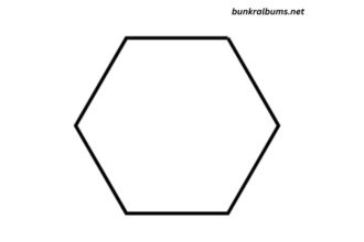 How Many Sides Does a Hexagon Have