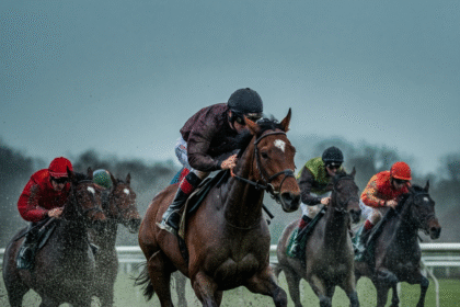 The Impact of Weather and Track Conditions on Horse Performance