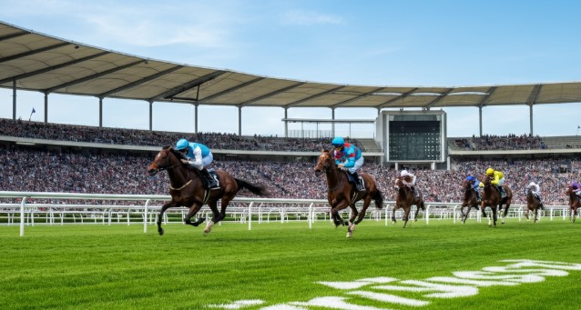Top Turf Predictions for the 2025 Derby Season